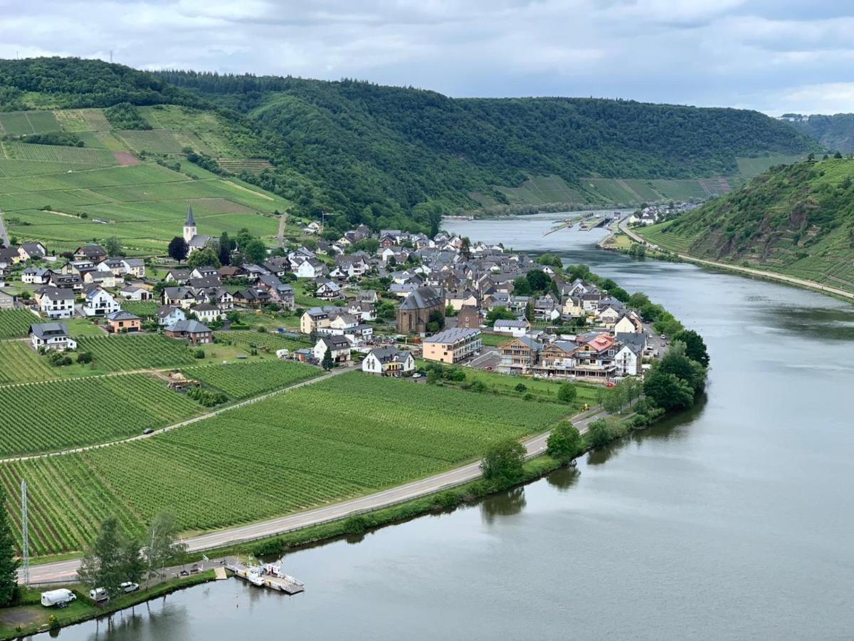 Weingut Im Moselkrampen Ellenz-Poltersdorf Exterior foto